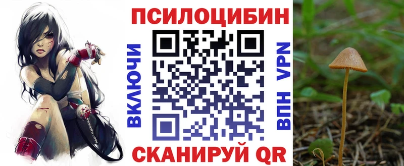 Галлюциногенные грибы мицелий  Киреевск 