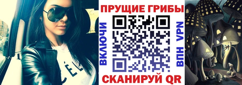Псилоцибиновые грибы мухоморы Киреевск